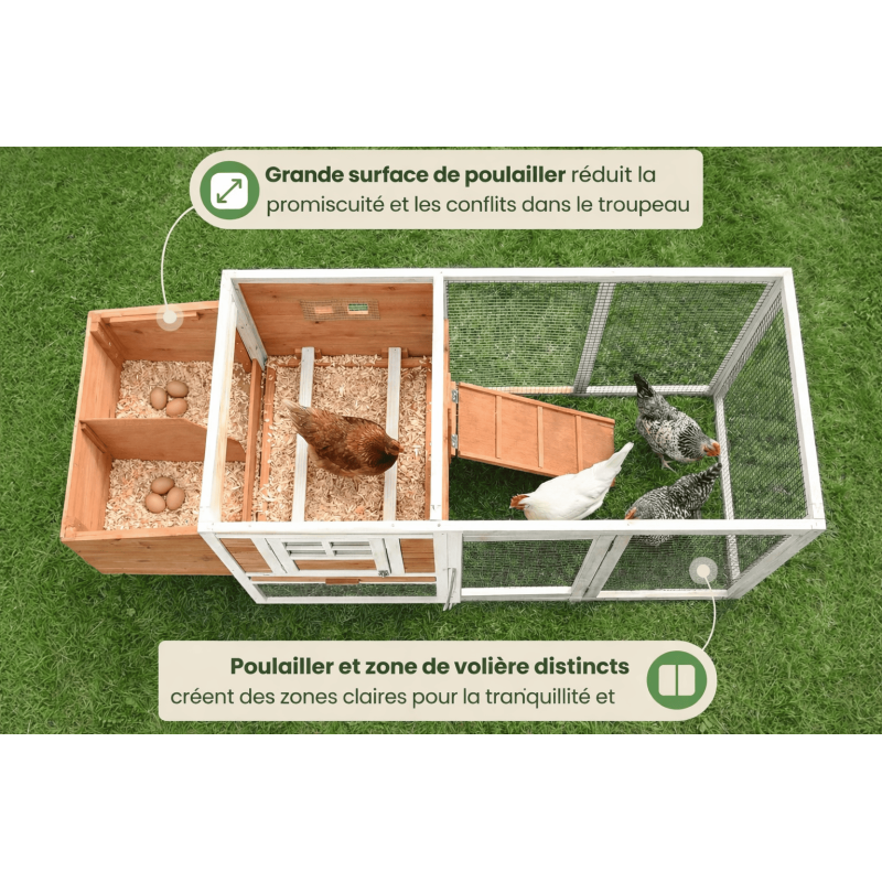 Poulailler en bois pour jardin extérieure 183x103x75cm Cage Canard avec Nichoir Modèle Ida - Image 6