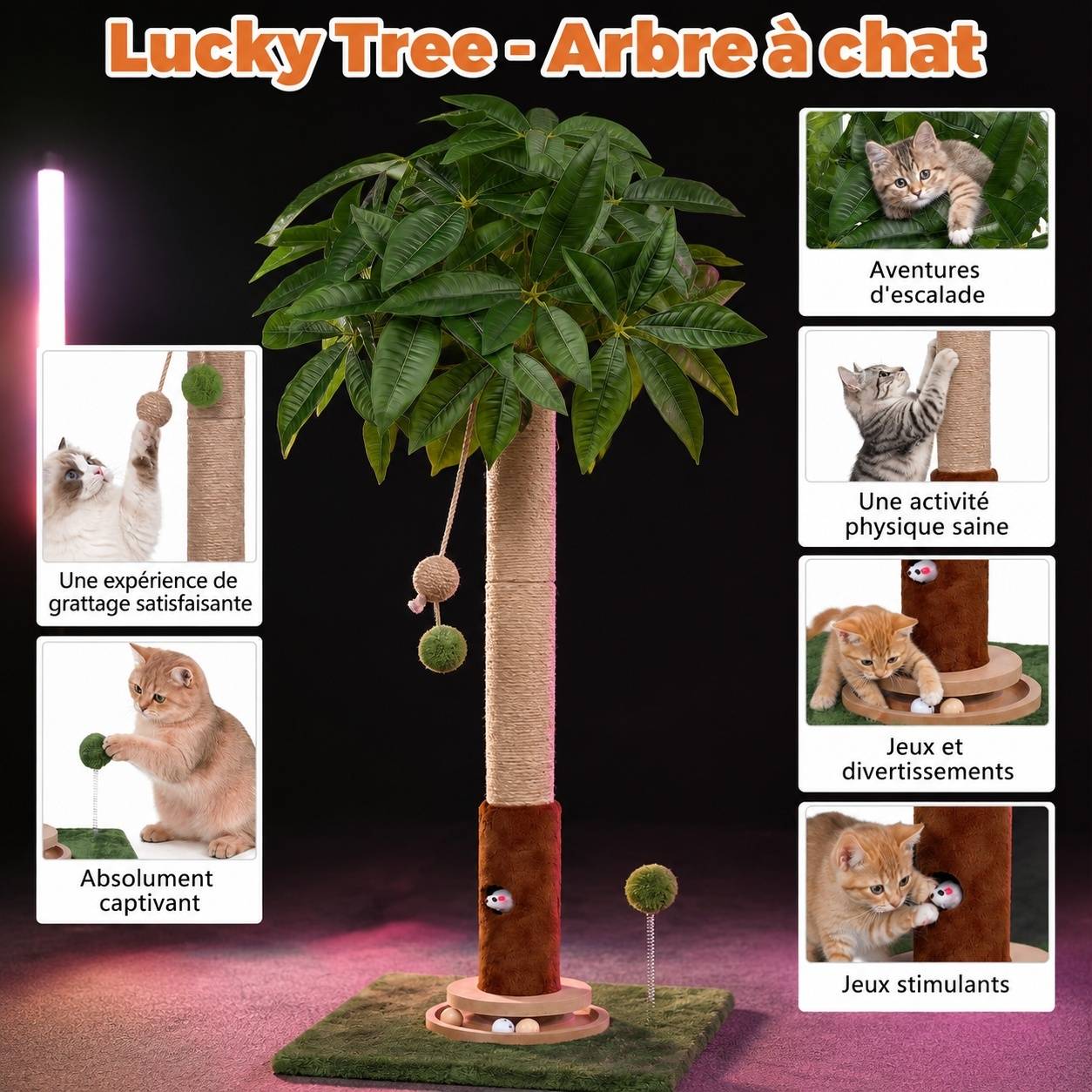 Centre d'Activité pour Chat Arbre à Gratter Avec Tunnel Souris Jouets Interactifs Base Stable - Image 2