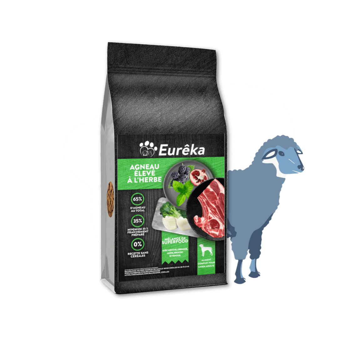 Croquettes chien adulte holistic sans céréales - Agneau élevé à l'herbe - 2 Kg - Image 1