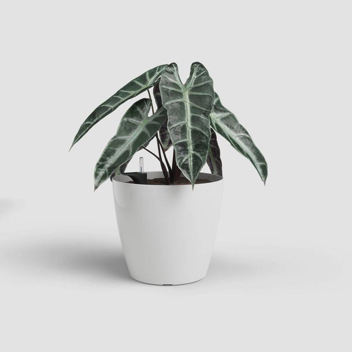 Artevasi - Pot de fleurs auto-arrosant San Remo SWS 42 BR, plastique blanc résistant aux UV, 42,3 L - ARTEVASI - Imagen 2