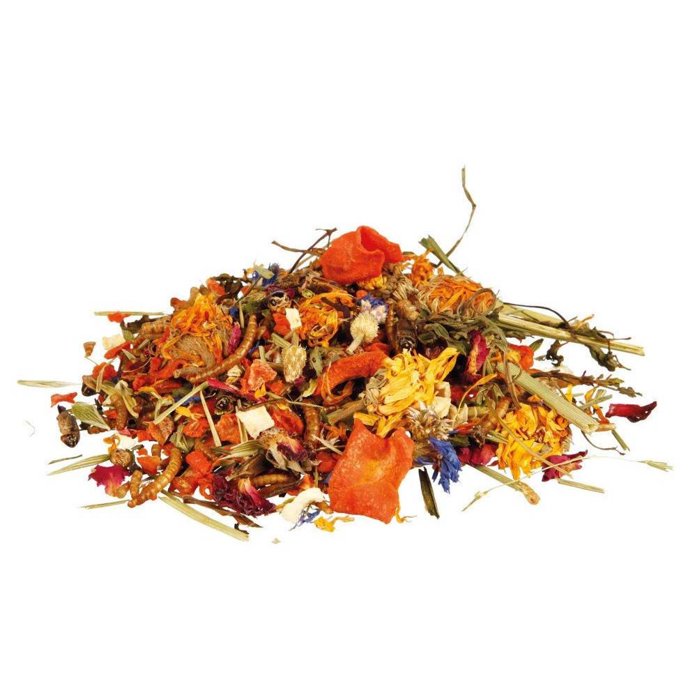 Trixie - Mélange d'aliments naturels pour dragons barbus 100g - Imagen 2