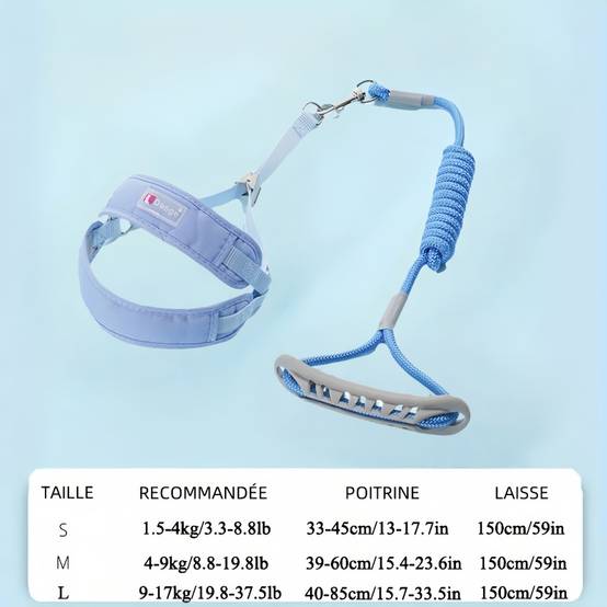 Ensemble harnais et laisse pour chat xl - IntiMeg - Image 2