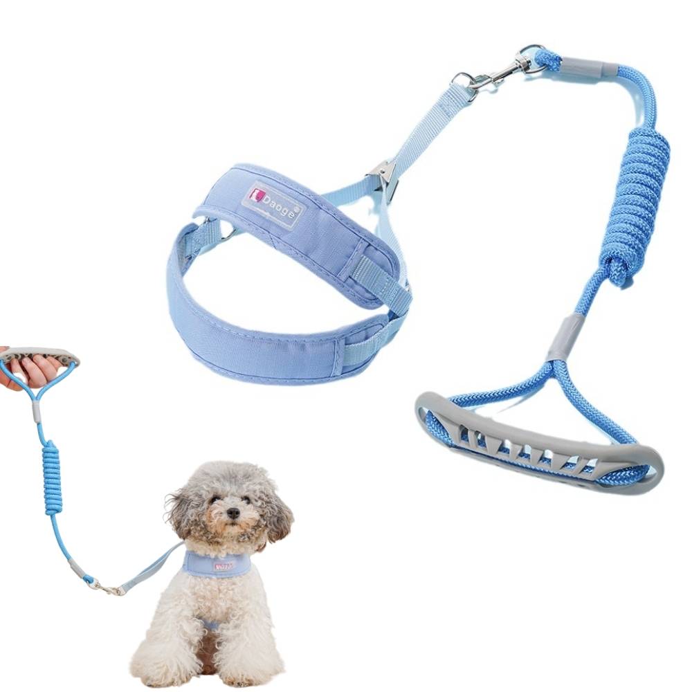 Ensemble harnais et laisse pour chat xl - IntiMeg - Image 1