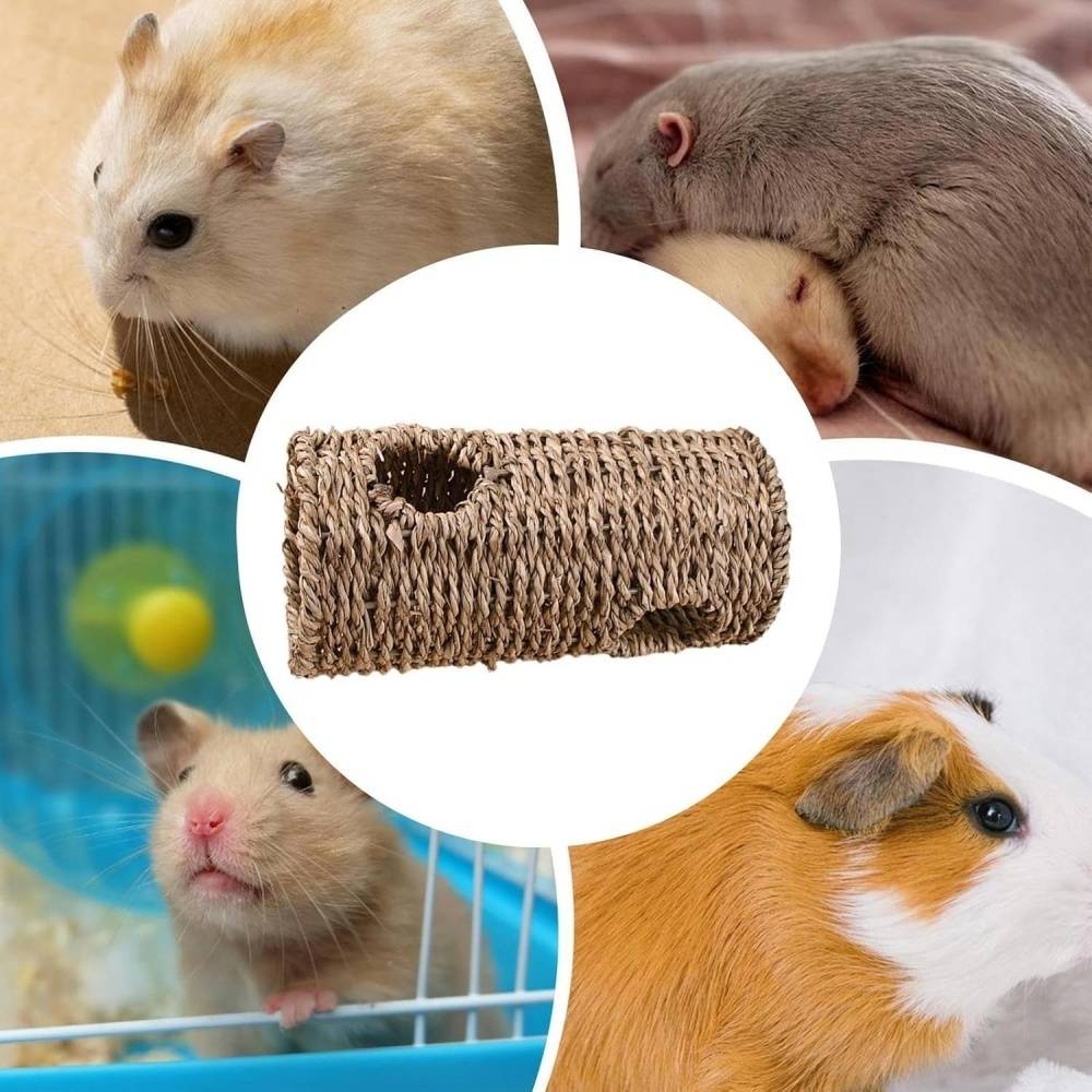 DtopbuyAge - Jouet tunnel et systèmes de tubes pour hamster DtopbuyAge - Image 4