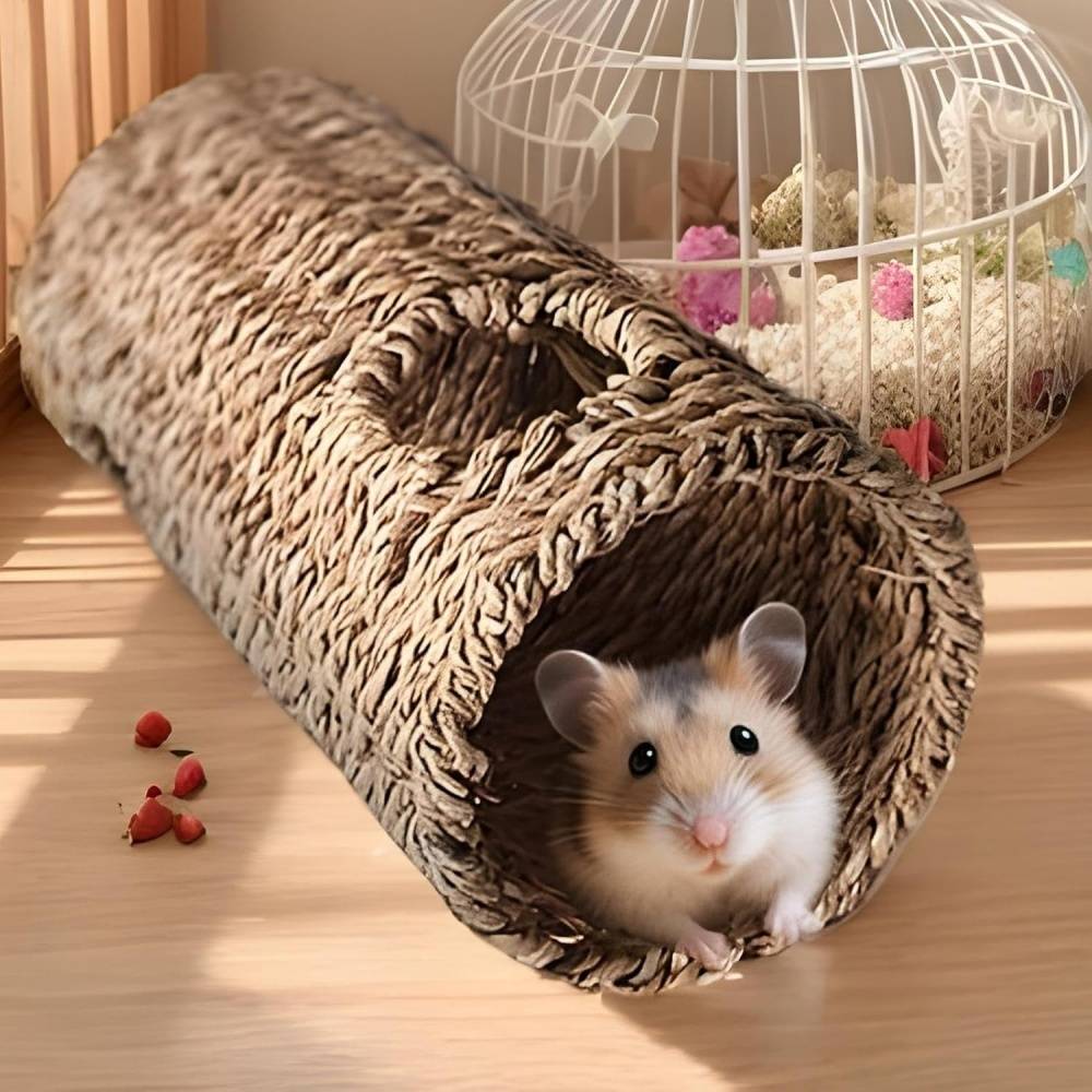 DtopbuyAge - Jouet tunnel et systèmes de tubes pour hamster DtopbuyAge - Image 2