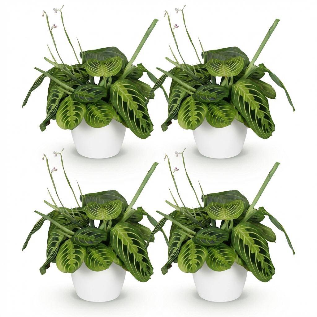 Maranta Fascinator Lemon Vert Clair - H35cm - Image 4