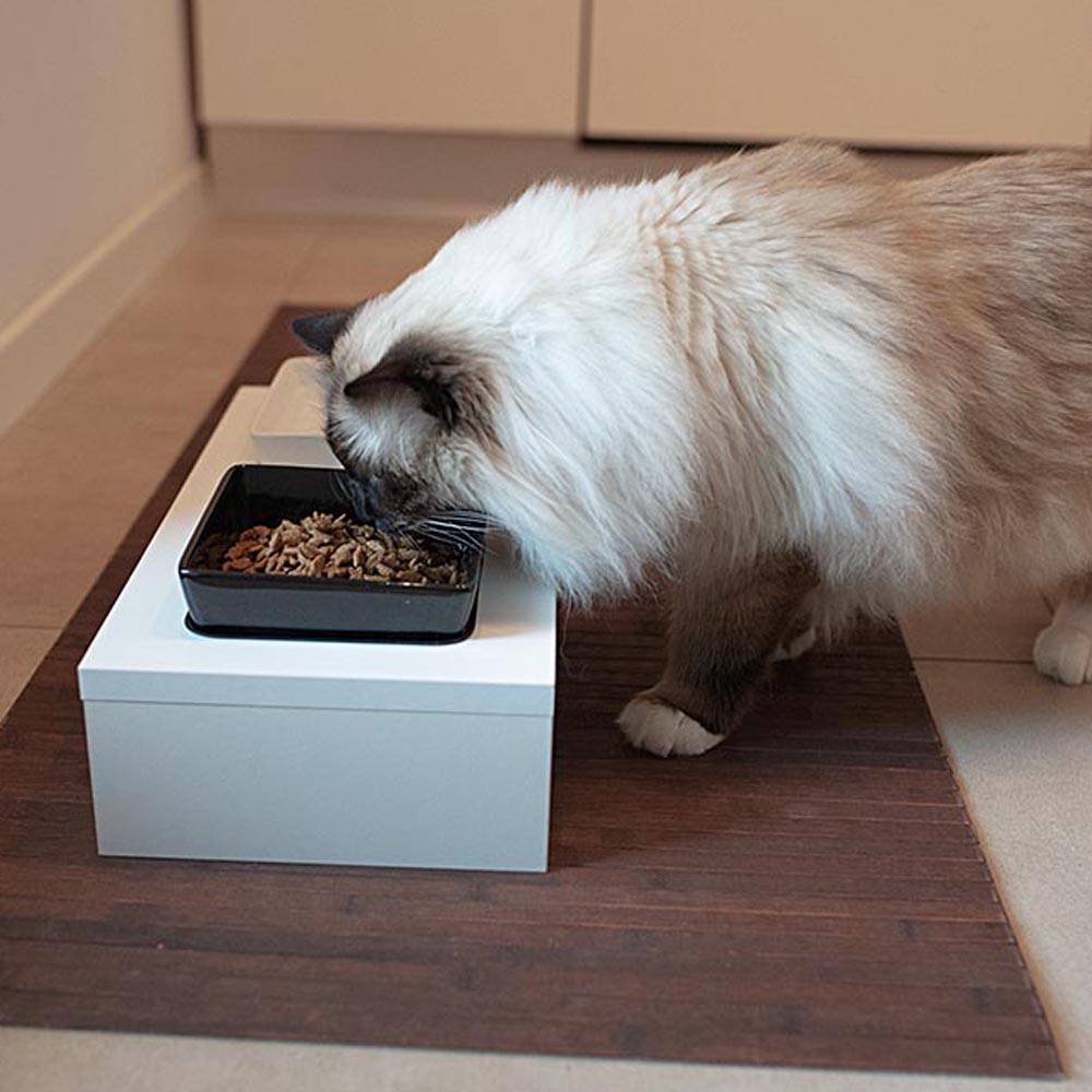 Ferplast - Ferplast Ecuelle pour Chats et Chiens MAKI 01, Support en Bois avec Anti-dérapant, 2 écuelles en Céramique de 0,5 L - Imagen 3