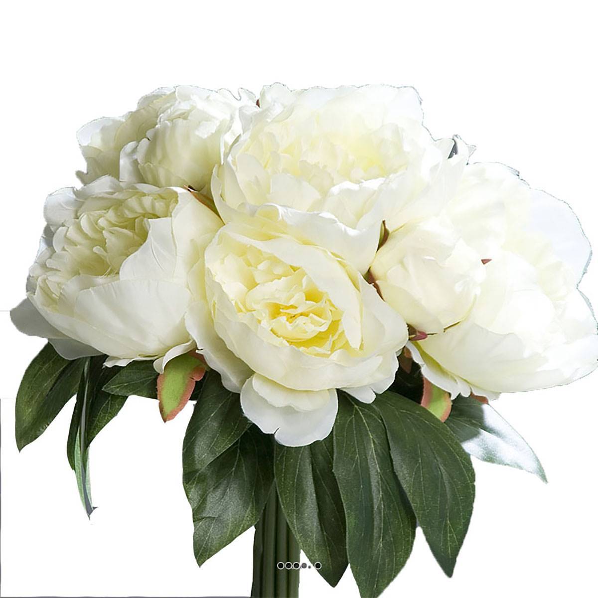 Artificielles - Bouquet de Pivoines artificielles crème 7 têtes Diametre 35 cm - couleur: Crème - Imagen 2