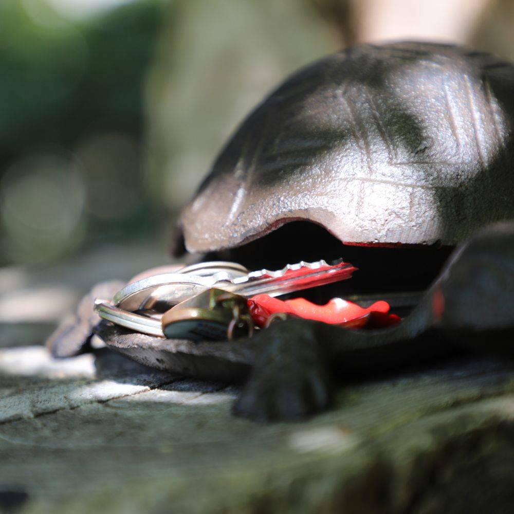 Chemin De Campagne - Tortue boîte clé clef cache clé clef extérieur fonte marron 14cm Chemin de campagne - Imagen 4