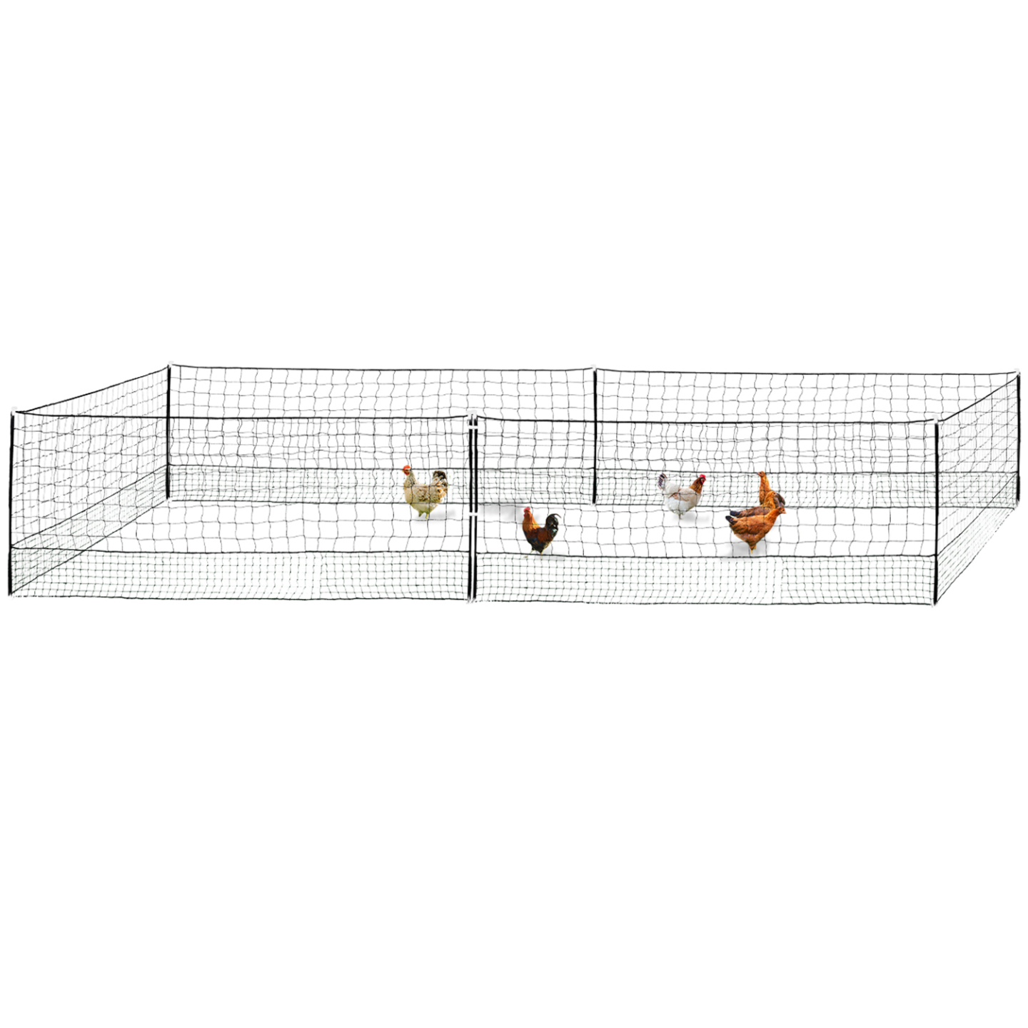 Kit clôture filet à poules 12 M avec porte 6 piquets double pointe - Image 9
