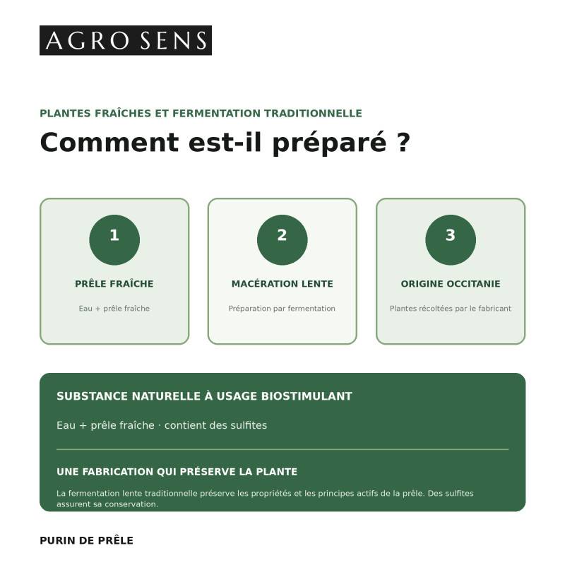Purin de prêle à base de plantes fraîches, concentré à diluer - 1 Litre - Image 3