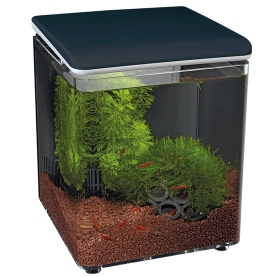 Superfish - Aquarium acrylique noir 8 L SuperFish Home 8 - SUPERFISH