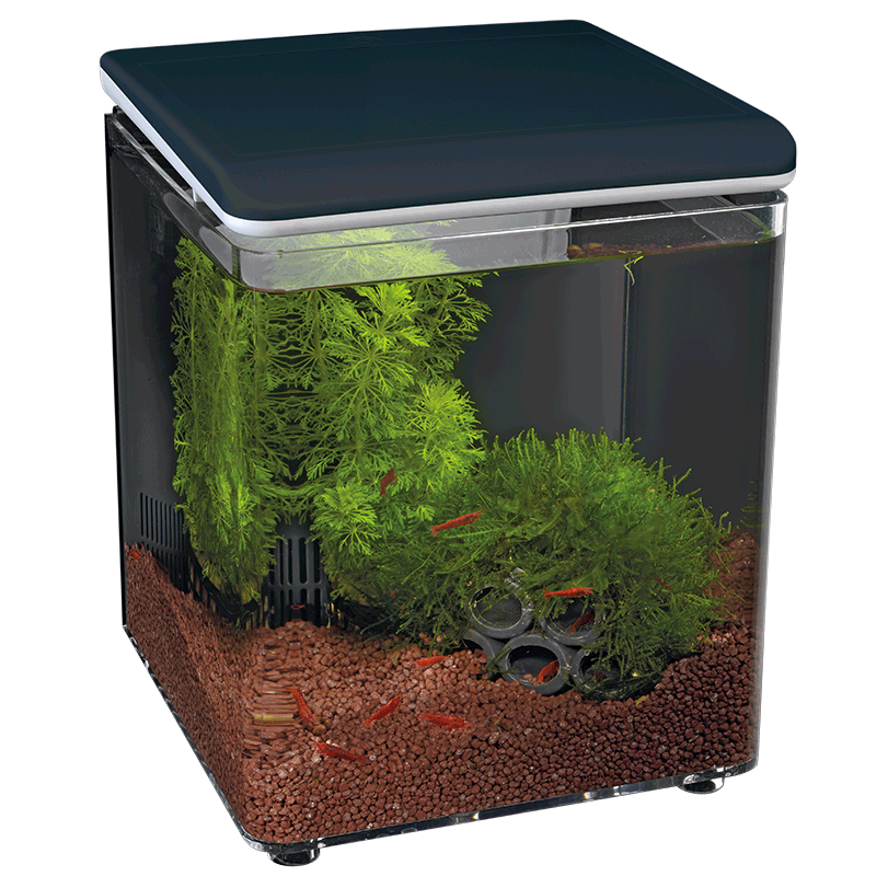 Superfish - Aquarium acrylique noir 8 L SuperFish Home 8 - SUPERFISH