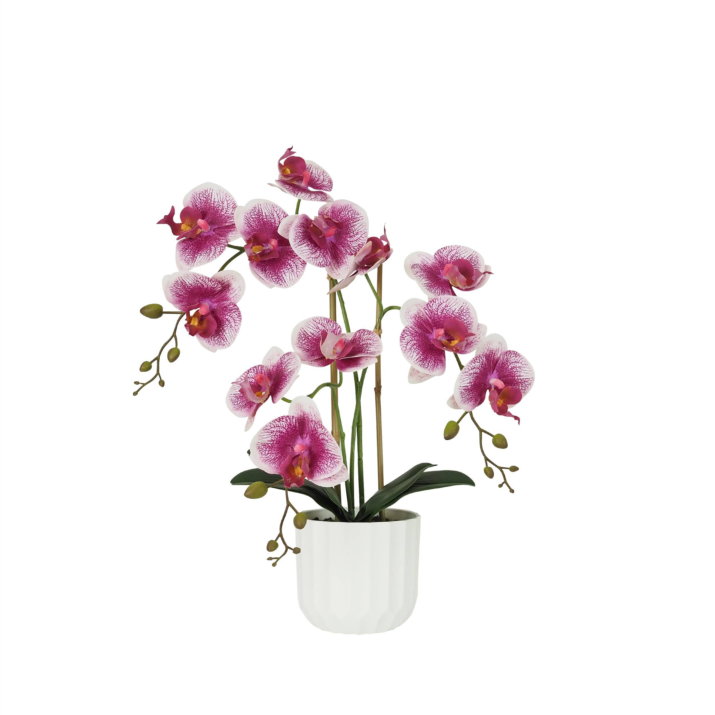 Ligne Deco - Orchidée artificielle blanc-fuchsia 50cm Ligne Déco - Image 2