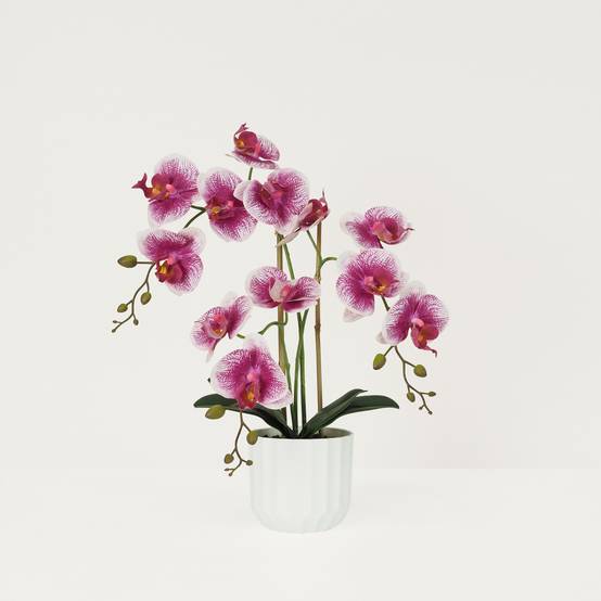 Ligne Deco - Orchidée artificielle blanc-fuchsia 50cm Ligne Déco - Image 1