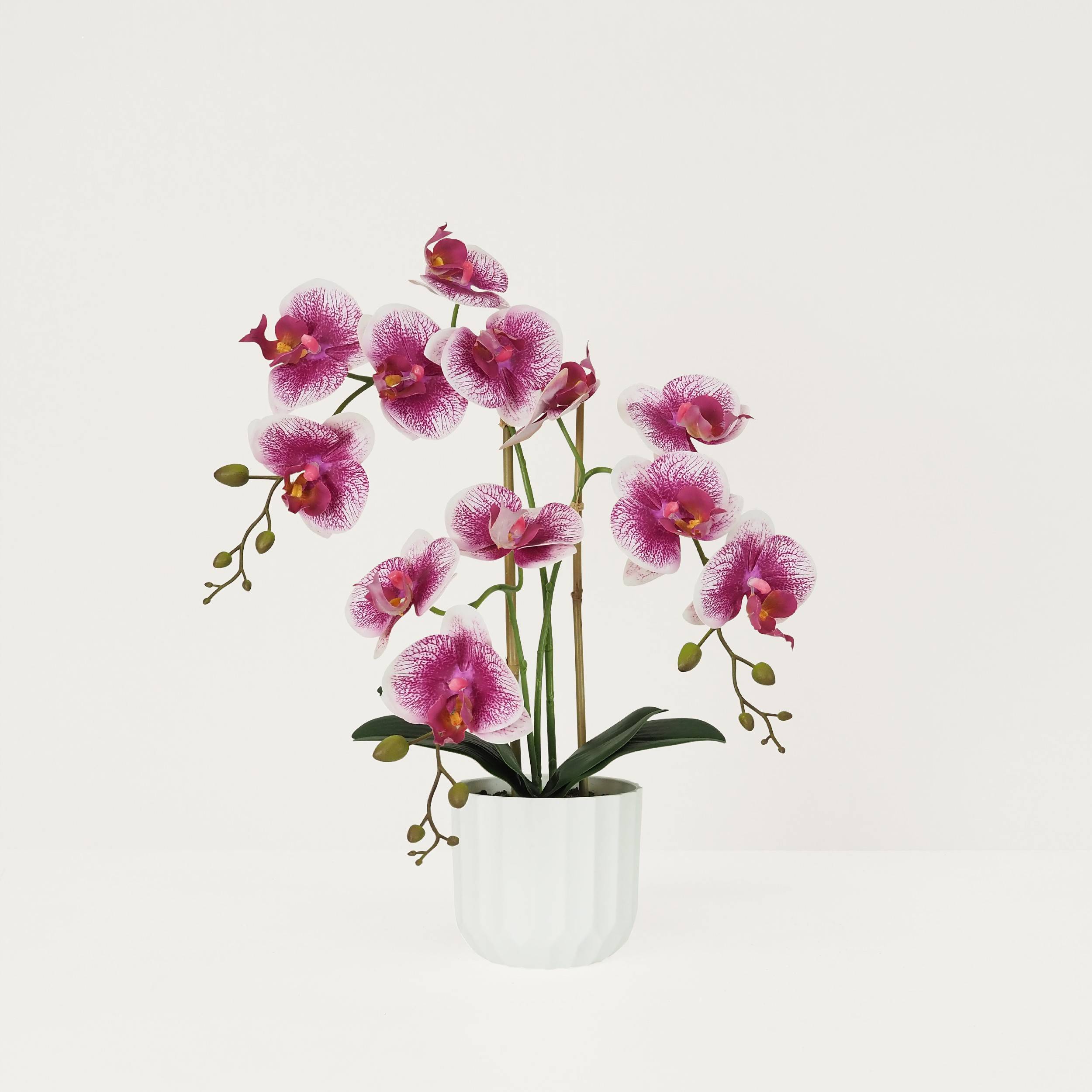 Ligne Deco - Orchidée artificielle blanc-fuchsia 50cm Ligne Déco