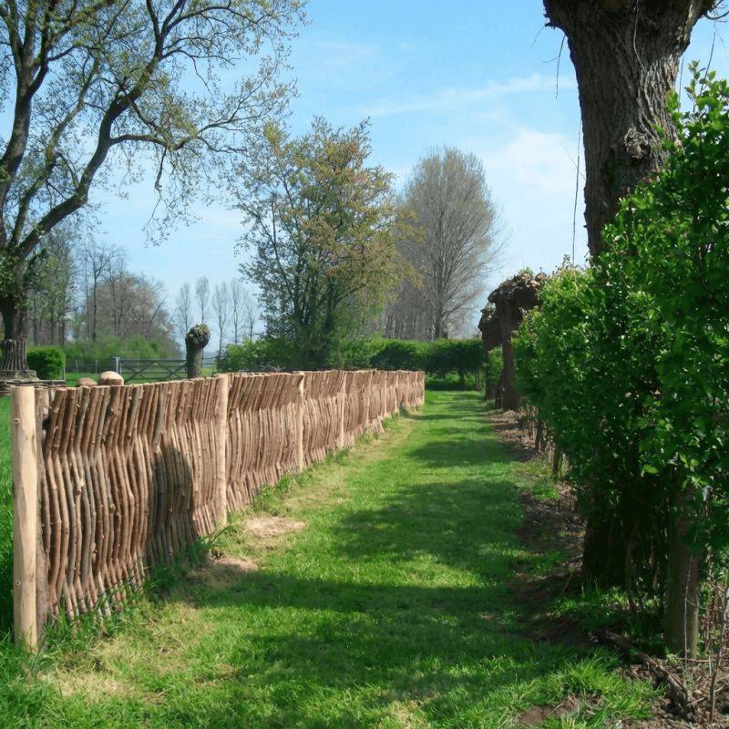 Panneau cloture noisetier en tressage vertical - H75 X L 180 cm - Image 3