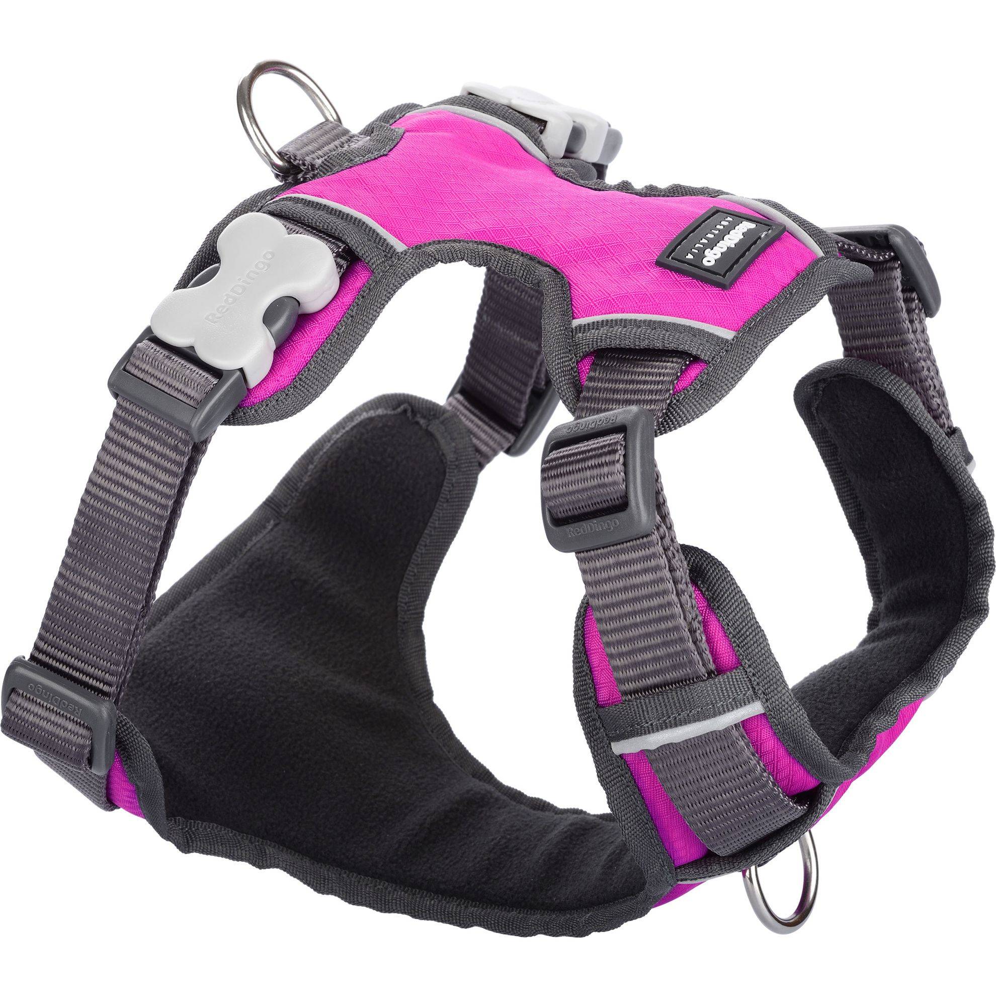Harnais chien Red Dingo rembourré Rose Taille : T2 RED DINGO