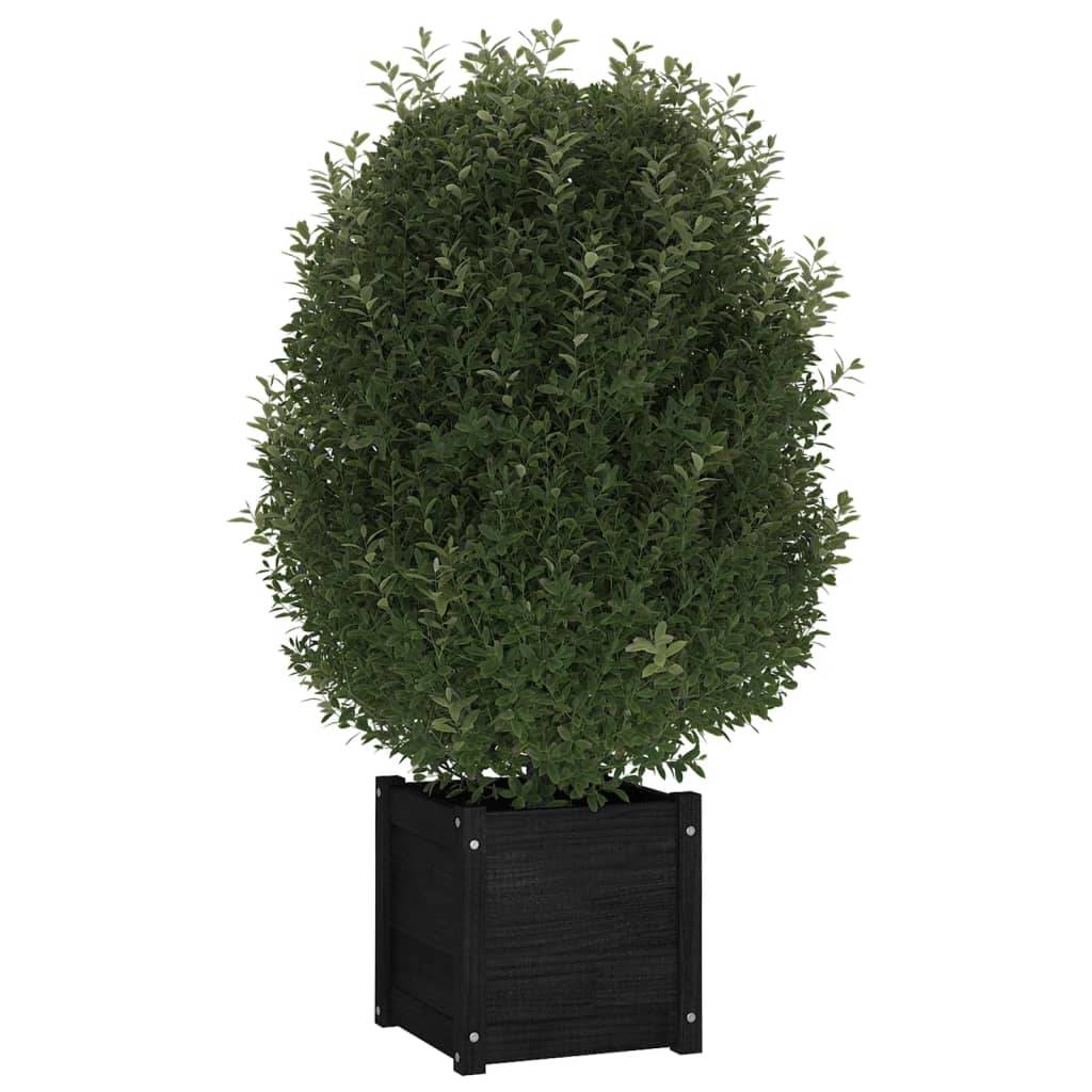 Jardinière d'extérieur - Bac à Fleurs - Pot De Fleurs Noir 40x40x40 cm Bois de pin massif - Imagen 3