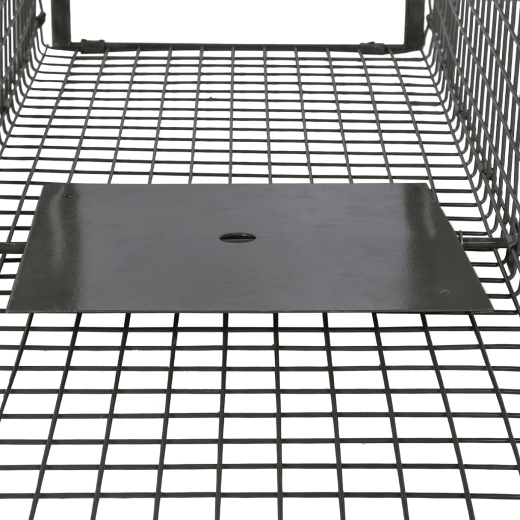 Vidaxl - Attrape À Animaux Avec 2 Portes - vidaXL - Image 3