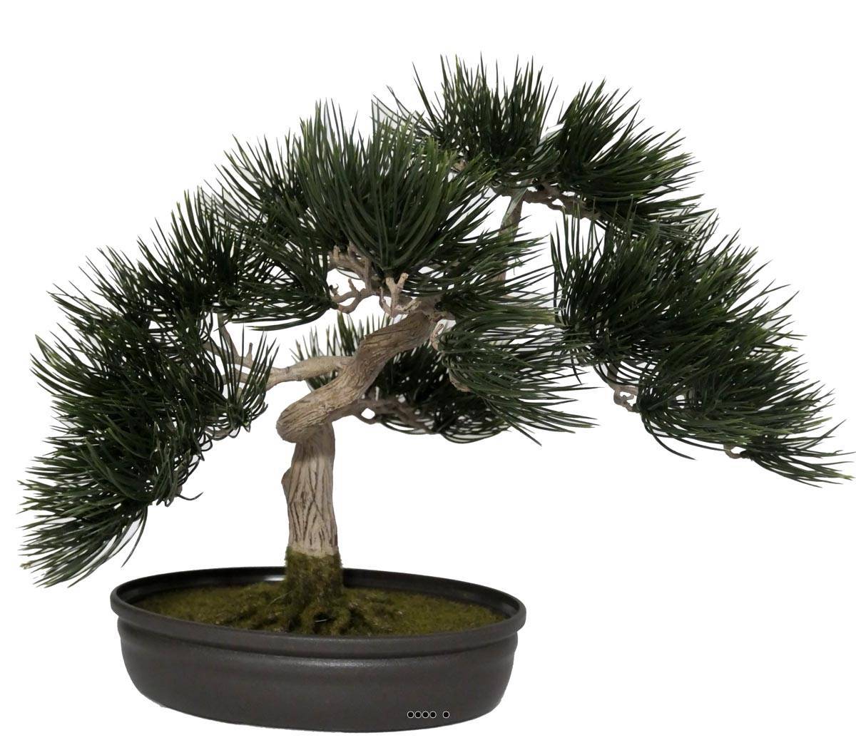 Artificielles - Bonsai artificiel Angel Pinus H 44 cm Finition mousse - Imagen 1