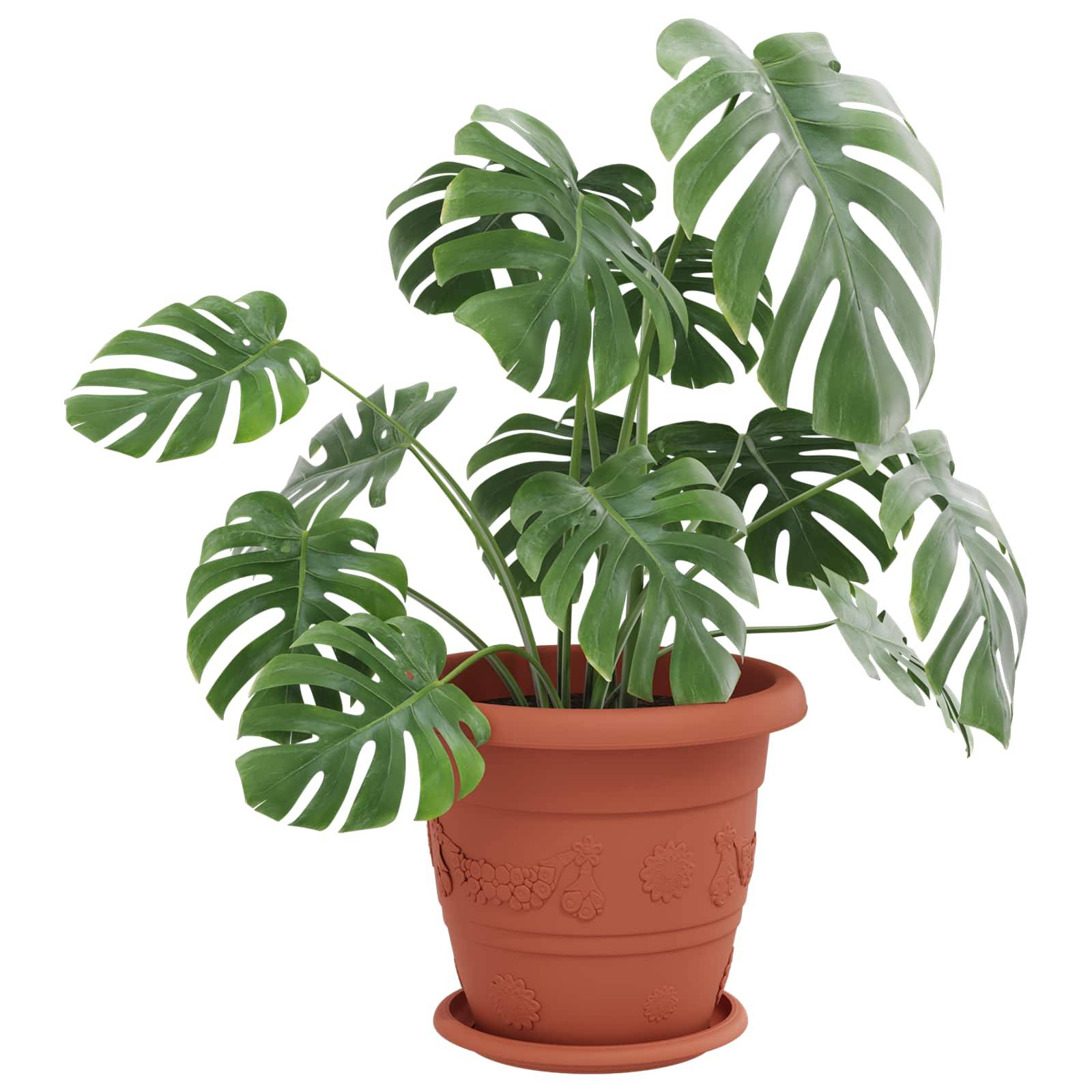 Pots de plantes 24 pcs | Bac à fleurs Rouge brique Ø 26 x 21.5 cm Plastique - Image 3