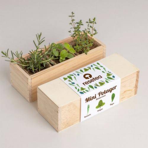 Kit mini potager légumes et herbes aromatiques - 4 variétés - Imagen 5