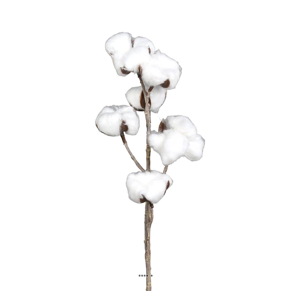 Branche de coton artificielle H 60 cm 6 tetes - Image 1