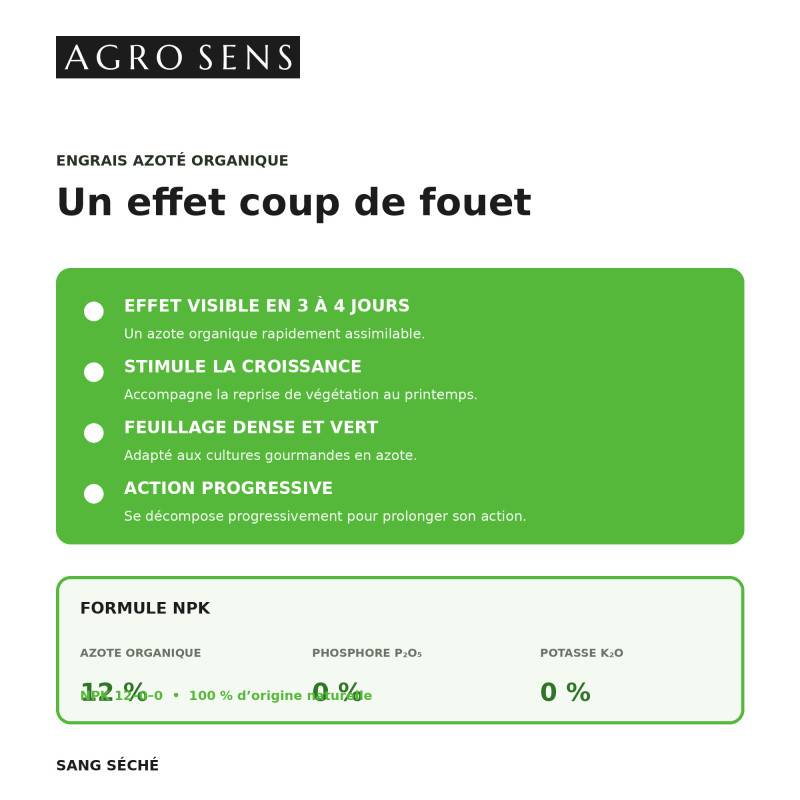 Sang séché - Engrais azoté, coup de fouet - Seau 1 kg - Image 3