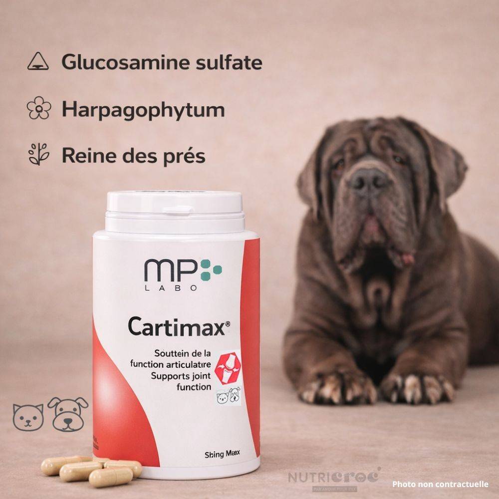 Cartimax MP Labo – Articulations chien & chat gélules 1020 comprimés - Image 2
