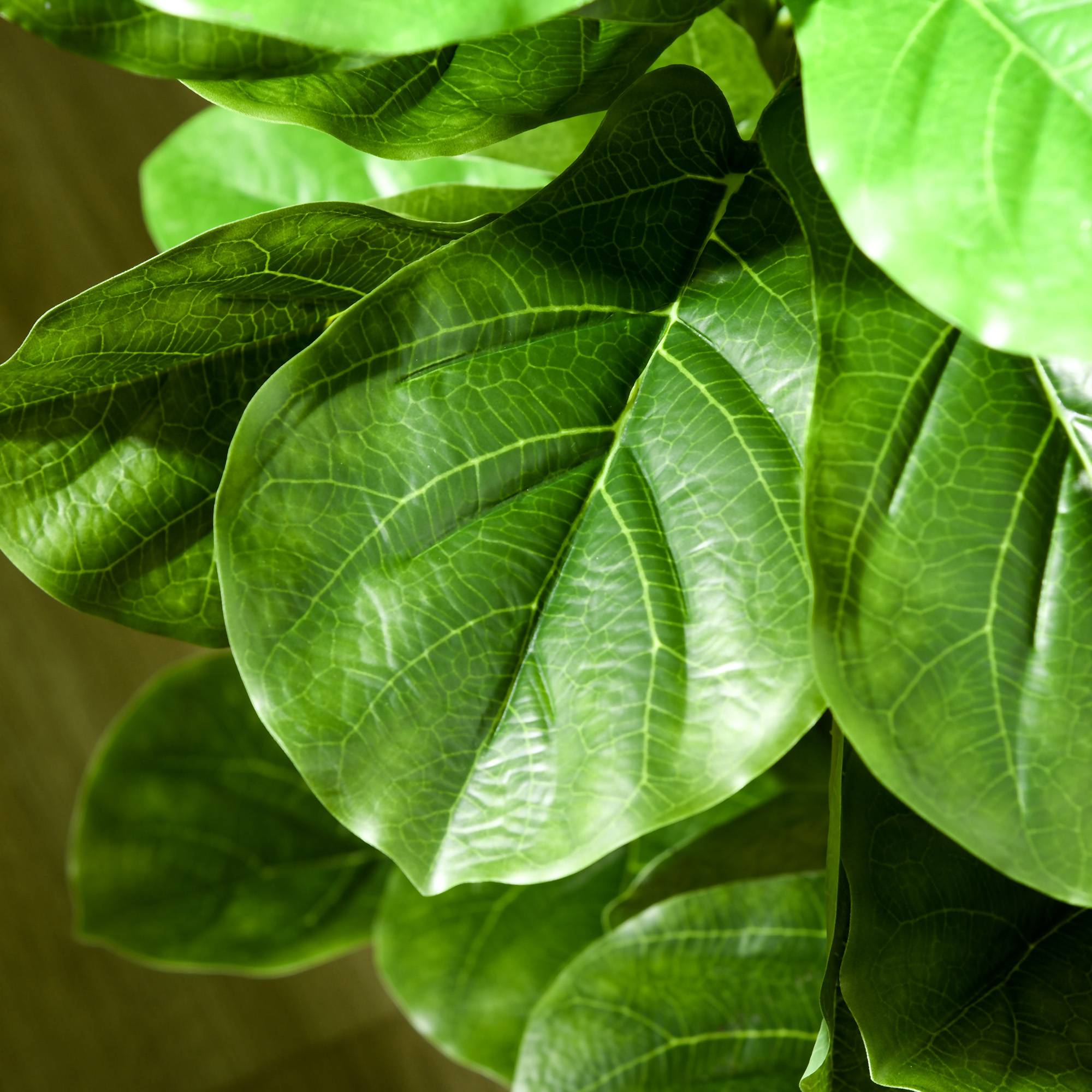 Lot 2 Figuiers Artificiels Plastique Décoration Intérieur Ficus Lyrata 180cm Vert - ComfortXL Outdoor Living - Image 10