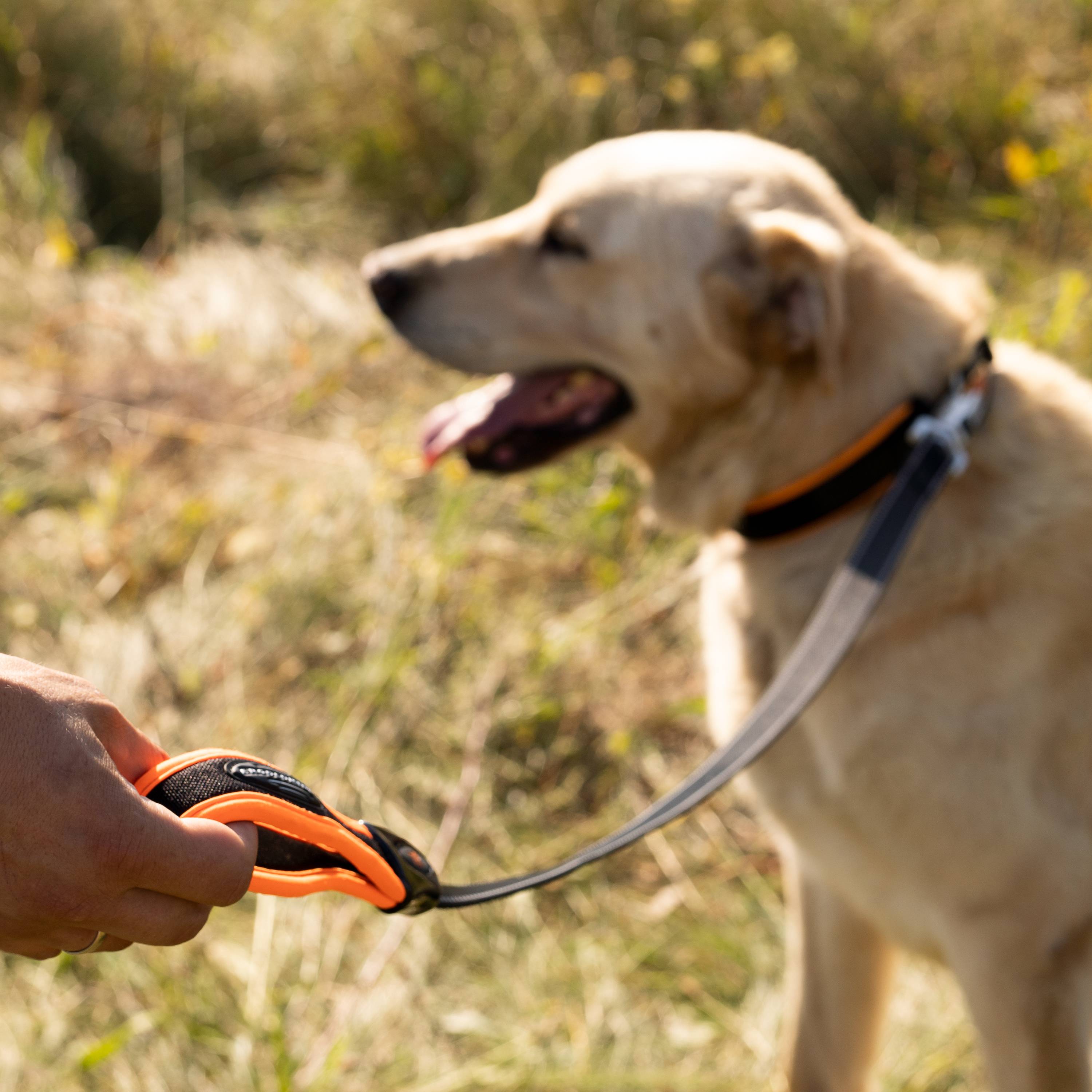 Ferplast - Ferplast Laisse pour chien ERGOFLUO MATIC, Laisse pour chien taille grande, Mousqueton Innovant avec Mécanisme Magnétique, Poignée rembourrée, Nylon. - Imagen 4
