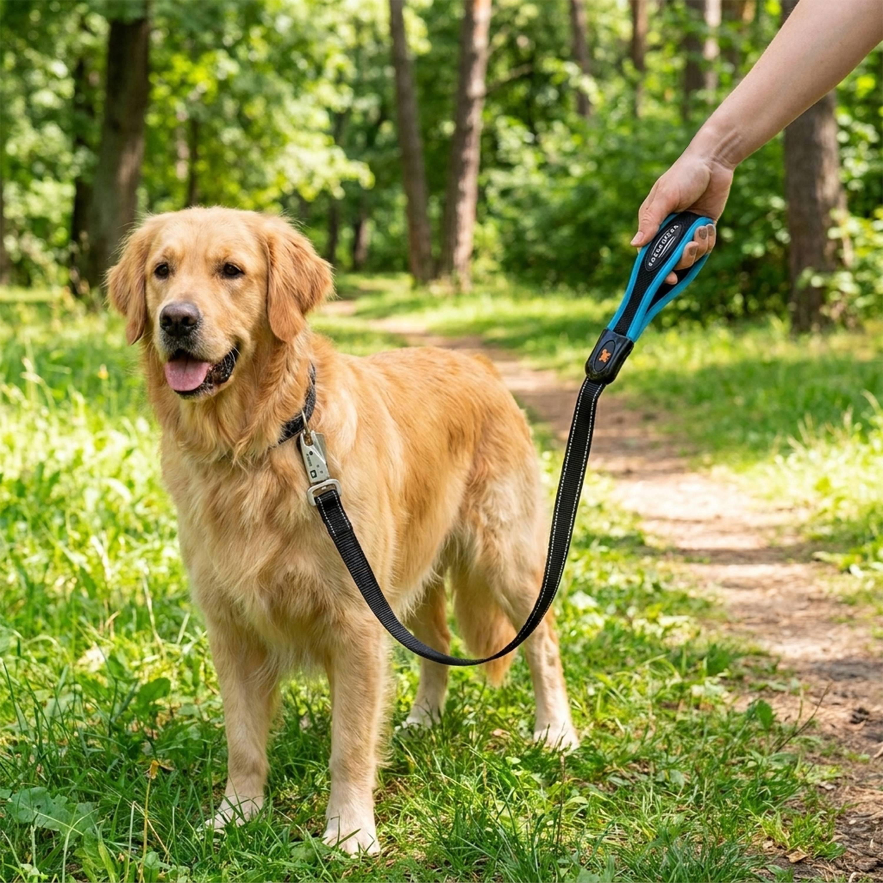 Ferplast - Ferplast Laisse pour chien ERGOFLUO MATIC, Laisse pour chien taille grande, Mousqueton Innovant avec Mécanisme Magnétique, Poignée rembourrée, Nylon. - Imagen 3