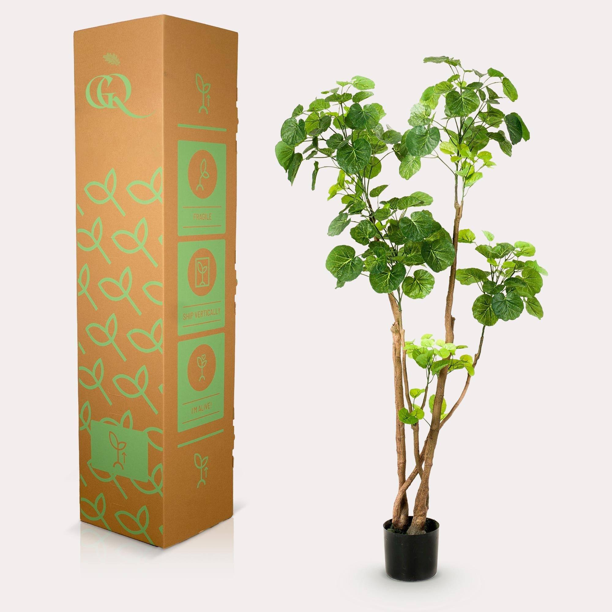 La Green Touch - Polyscias plante artificielle - h140cm, Ø14cm- La Green Touch - Imagen 3