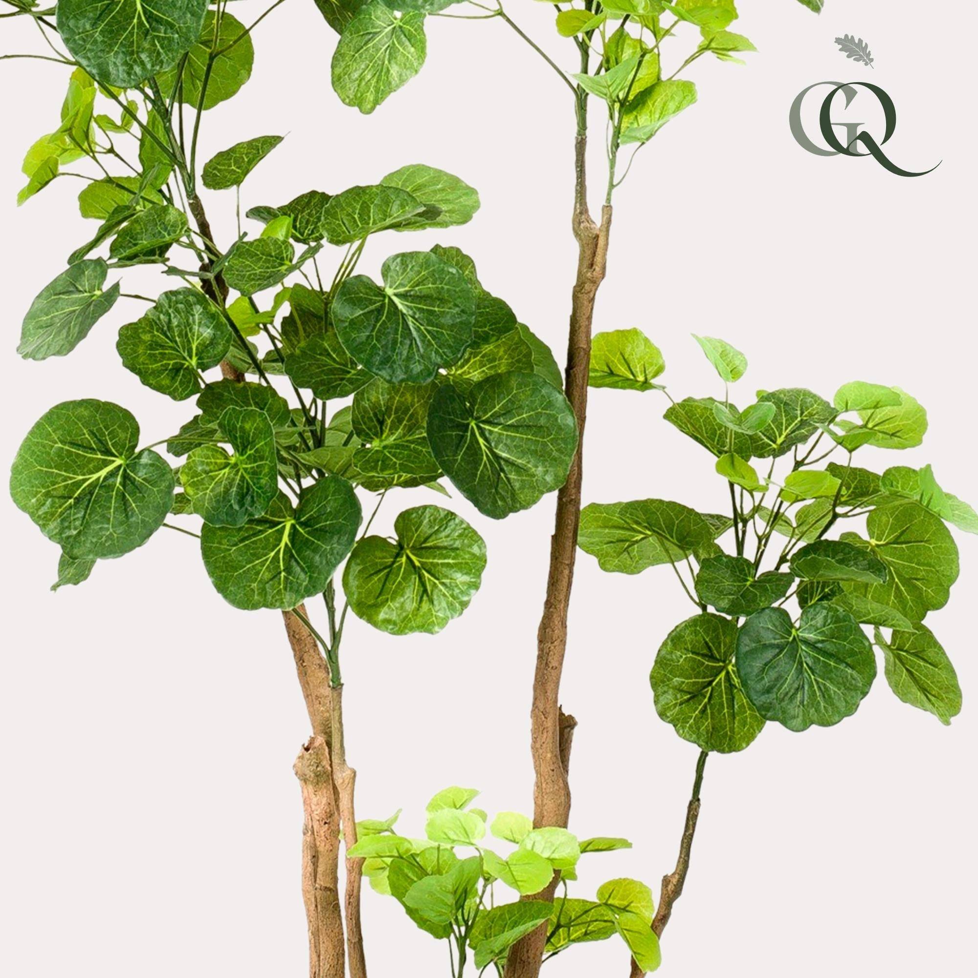 La Green Touch - Polyscias plante artificielle - h140cm, Ø14cm- La Green Touch - Imagen 2