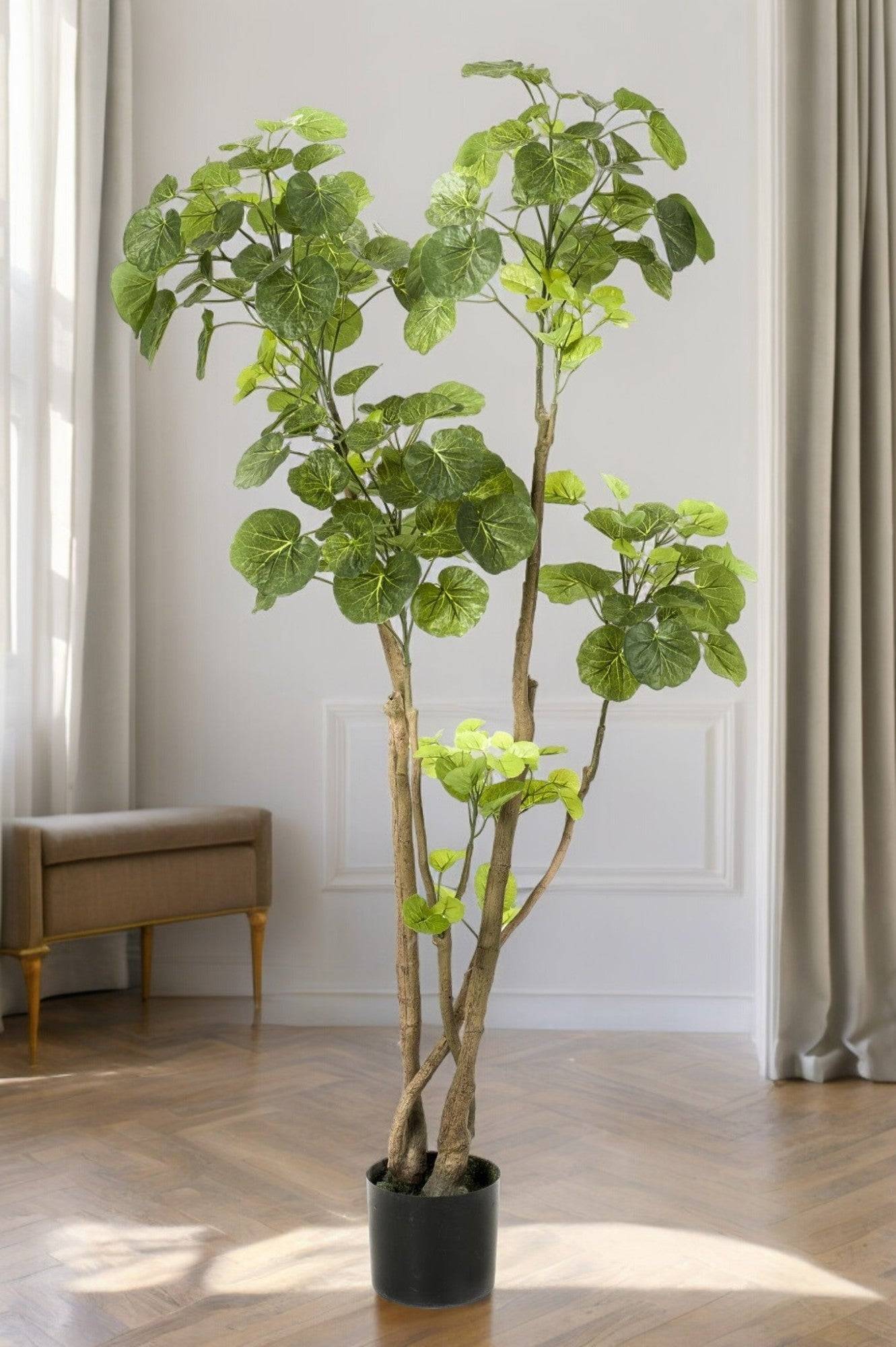 La Green Touch - Polyscias plante artificielle - h140cm, Ø14cm- La Green Touch - Imagen 1