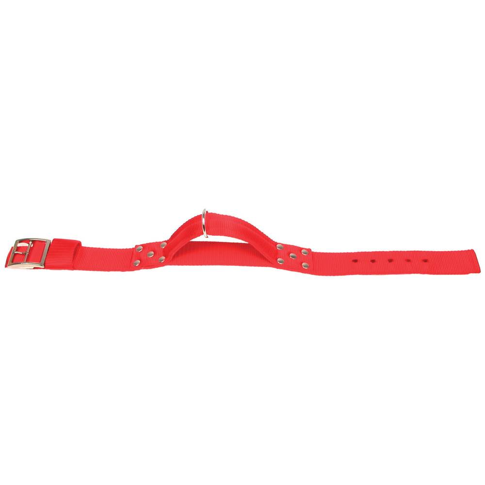 Zolux - Collier avec poignée T 70 cm. rouge pour chien. - Imagen 2