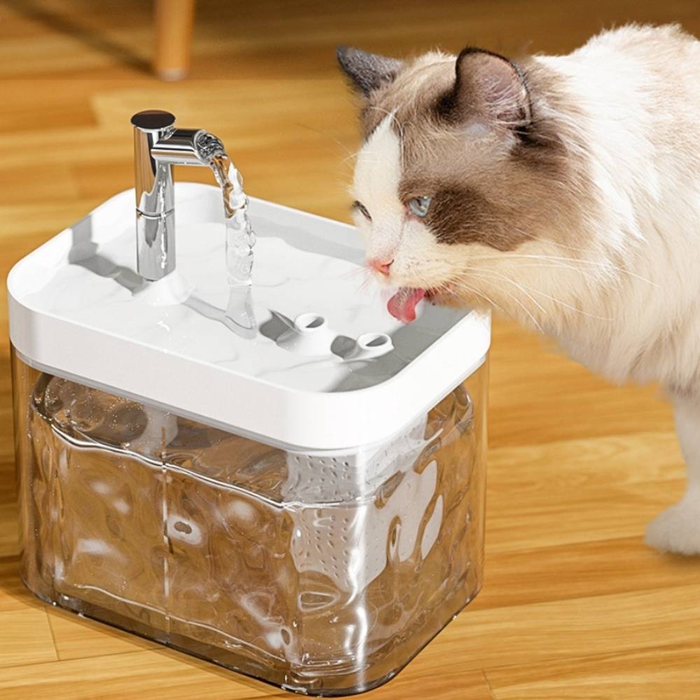 IntiMeg - Fontaine à eau automatique pour chat IntiMeg - Image 2