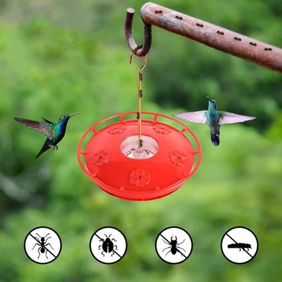 IntiMeg - Nourrisseur pour colibris (2 pcs) IntiMeg - Image 4