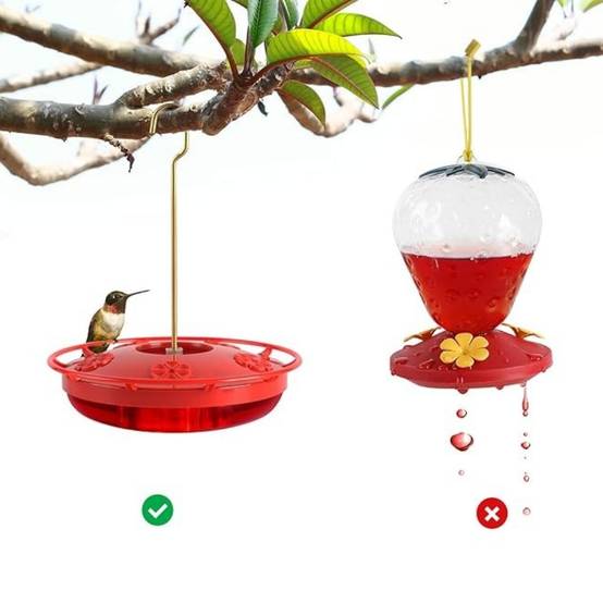 IntiMeg - Nourrisseur pour colibris (2 pcs) IntiMeg - Image 5