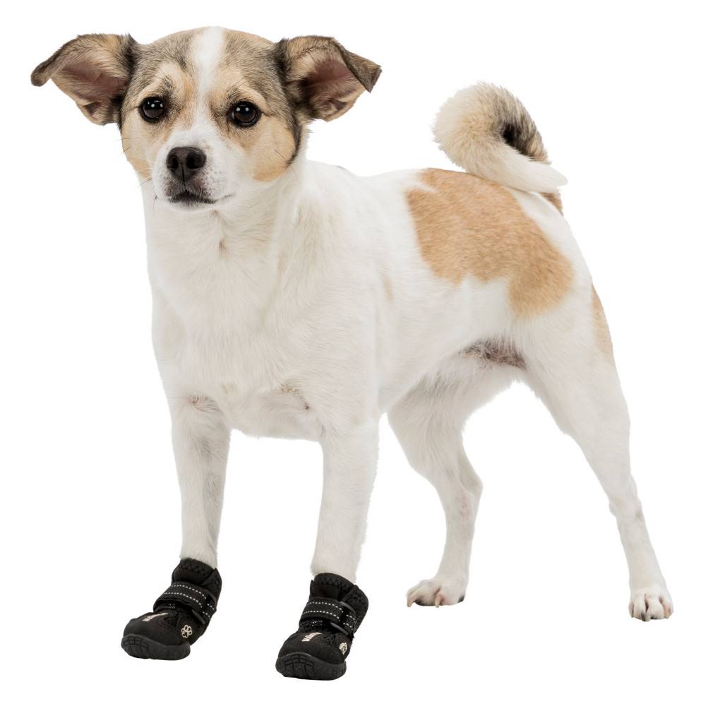 Bottes de protection Walker Active, taille: XS, pour chien - Image 2