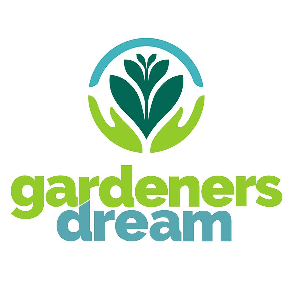 Gardenersdream - Palmier Chamaedorea Elegans – Grande Plante D'Intérieur De Qualité Supérieure En Pot De 13 Cm - GardenersDream - Imagen 4