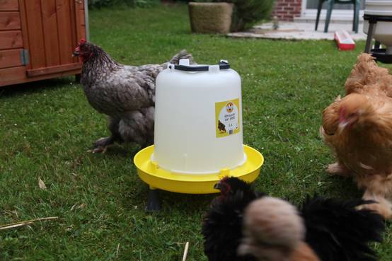 Chick'a - Abreuvoir sur pied 5L CHICK'A - Image 3