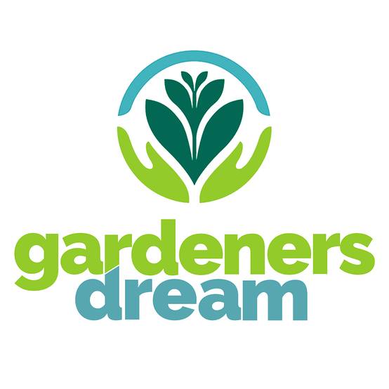 Gardenersdream - Calathea Orbifolia Plante Paon | Plante D'Intérieur En Pot Pour La Maison Ou Le Bureau - GardenersDream - Image 4