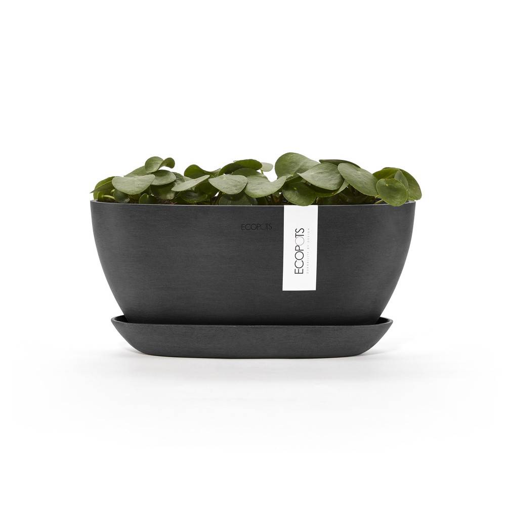 Ecopots - Pot Ovale Sofia 30 + Soucoupe - 30 x 13 x H. 13,9 cm - 2,7 L ECOPOTS - Imagen 3