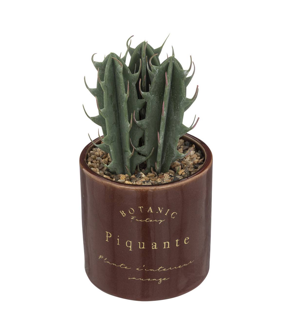 Atmosphera - Plante grasse artificielle Pot en céramique émaillée H 19 cm - Imagen 1