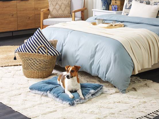 Beliani - Lit pour animal Velours Bleu ERGANI - 60x45x10- Beliani - Image 1