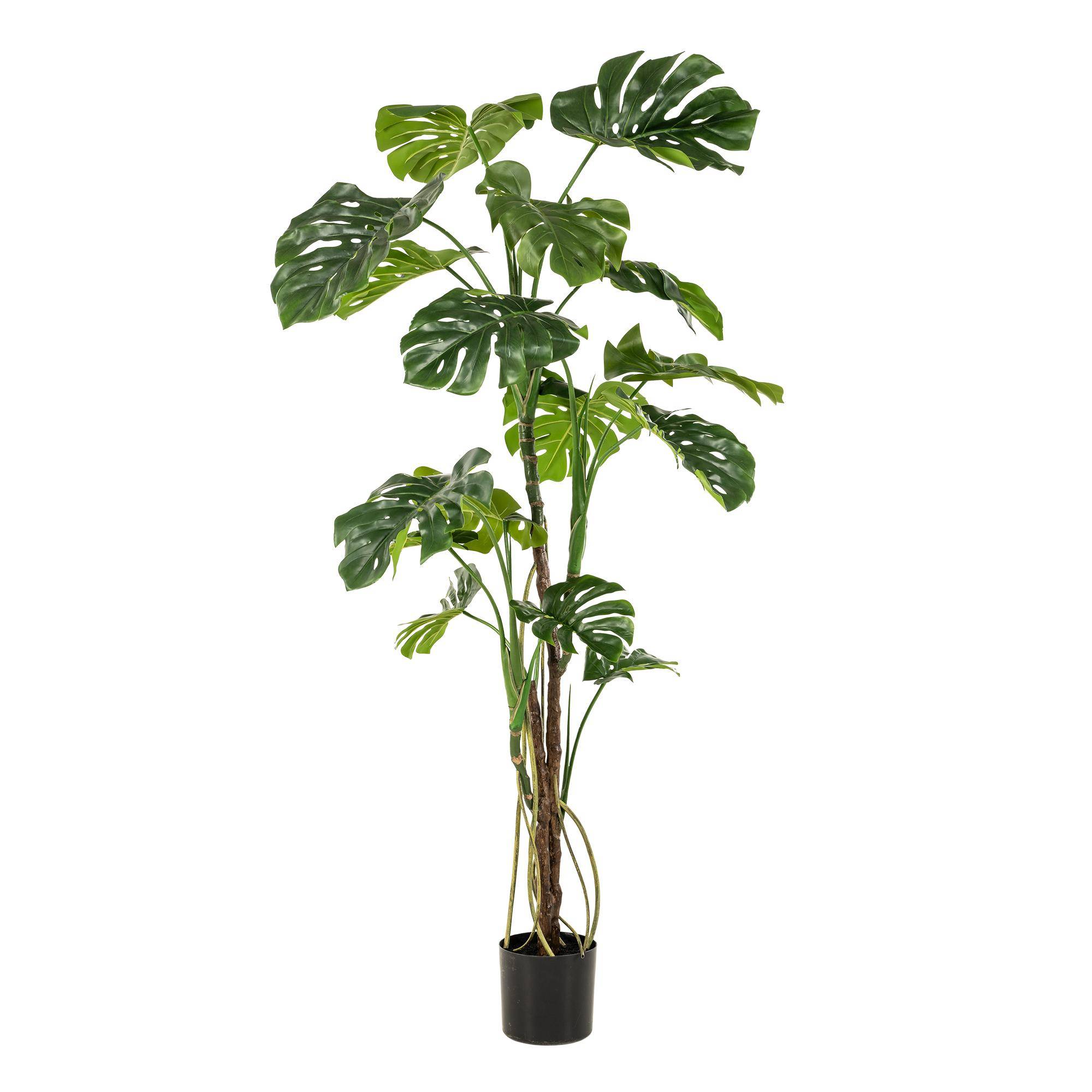 Plante Artificielle Monstera Réaliste Intérieur Salon Grand Format 180 cm - ComfortXL Green Living - Image 5