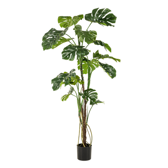 Plante Artificielle Monstera Réaliste Intérieur Salon Grand Format 180 cm - ComfortXL Green Living - Image 6