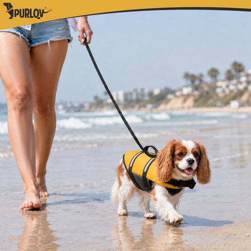 Gilet de sauvetage pour chien - Taille M Purlov - Image 7